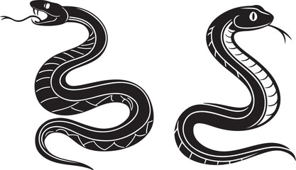 black and white snake