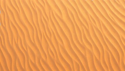 Textured desert sand dunes sunset warm rippling pattern