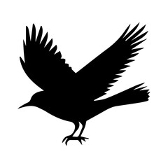 silhouette of a bird