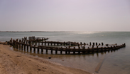 Remains of the hull of wooden ships by the sea.
