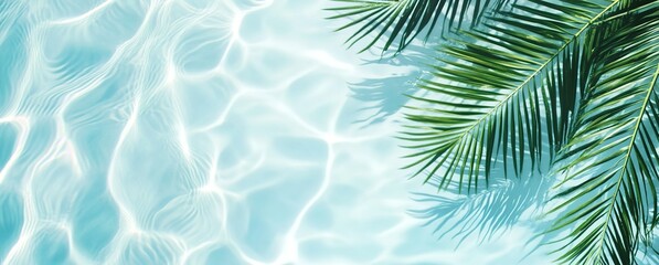 A close-up of palm leaves and water ripples in the bottom right corner, with a light blue background