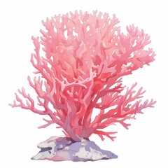 Vibrant Pink Coral Reef Branch Underwater Ocean Life Seaweed Aquatic Plant Marine Flora Illustration