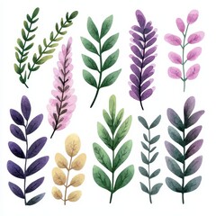 Fototapeta premium Watercolor Botanical Illustrations Collection of Elegant Leaves and Branches for Design