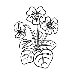 Violet or viola black line drawing sketch isolated on white. Hand drawn outline of single flower in doodle style. Vector clipart for spring flowers and springtime illustration, floral design.