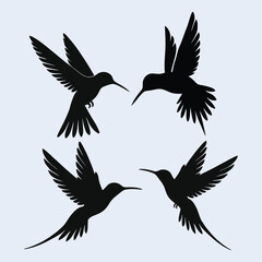 set of silhouettes of birds