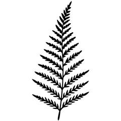 Fern Silhouette Line Art Creations