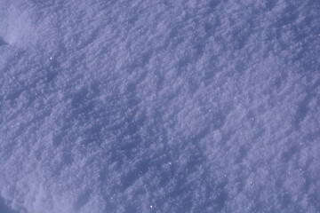 Untouched snow glistens under soft light, capturing the pristine beauty of winter. This tranquil scene highlights frosty textures & sparkling details, evoking serenity and the charm of fresh snowfall