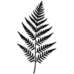Fern Silhouette Line Art Creations