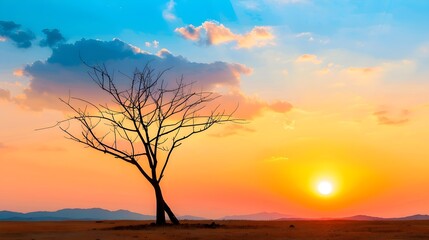 Fototapeta premium A lone, leafless tree stands silhouetted against a vibrant sunset sky, showcasing a mix of warm, colorful hues.