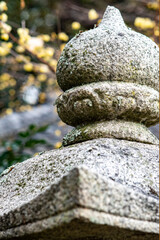 鎌倉2501　浄智寺20　蠟梅