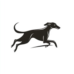 Fototapeta premium Sleek black Greyhound leaping, white background, vector art, logo design
