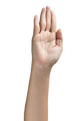 PNG Hand open palm fingers straight human gesture communication isolated background. Skin wrist arm natural texture, anatomy a clean, neutral pose Raised in vertical position symbol of expression.