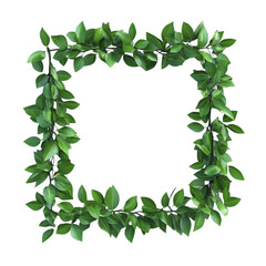 Lush Green Leaves Square Frame, Nature Border, Botanical Wreath