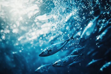 Fototapeta premium Tight closeup of tuna school in serene blue water