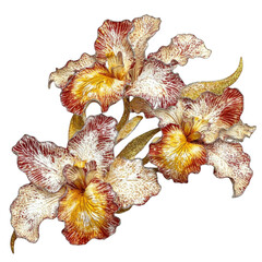 Obraz premium Vibrant orchid flowers arrangement indoor decor floral art bright colors close-up view nature's beauty