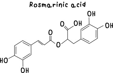 Rosmarinic acid,chemical structure of Rosmarinic acid illustration on transparency background