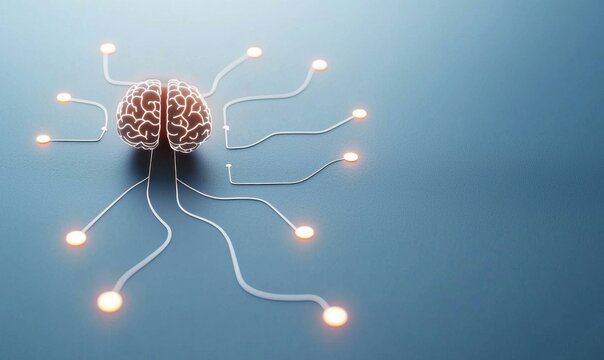 Neural connections during deep sleep stages in the human brain