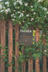 the mailbox hangs on the fence
