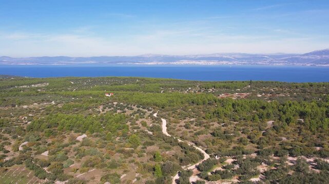 Drone aerial shot of the beautiful countryside of the island of Brac near Sutivan, Croatia with the Coastline and town of Split in the back, during the olive harvest season and olive oil production.