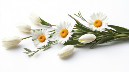 Fototapeta premium Fresh White Flowers with Green Leaves on White Background
