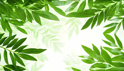 Fototapeta premium Lush green foliage frame, vibrant leaves, bright background, nature backdrop, ideal for spring or summer designs