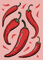 chilli illustration