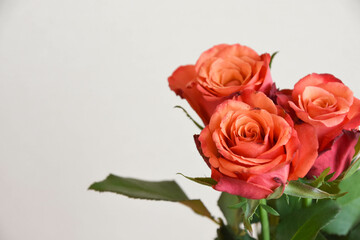 赤い薔薇