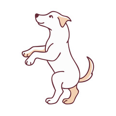 dog sitting on hind legs vector icon, dog sitting on hind legs vector illustration - simple illustration of dog sitting on hind legs, perfect for logos dog sitting on hind legs 