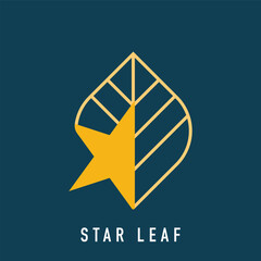 Unique leaf and star logo design. ecology and successful style. vector flat style.
