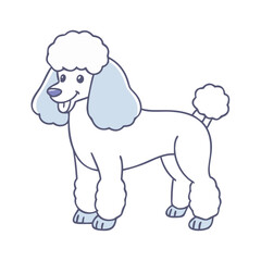 poodle haircut vector icon, poodle haircut vector illustration - simple illustration of poodle haircut, perfect for logos poodle haircut 