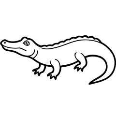 Obraz premium crocodile isolated on white