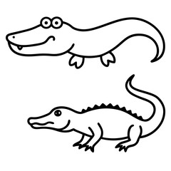 Fototapeta premium crocodile isolated on white background