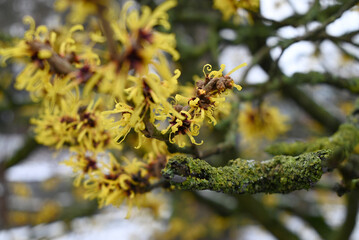 Different Places at the Hamburg Old Botanical Garden