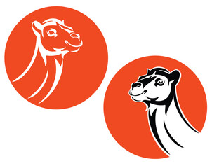 arabian camel black and white vector head portrait outline against red sun circle - desert adventure emblem