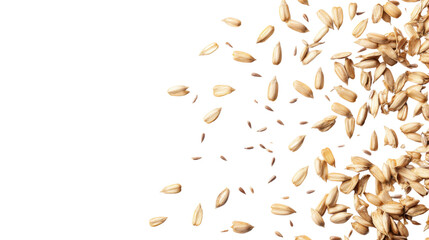 Sunflower seeds transparent background