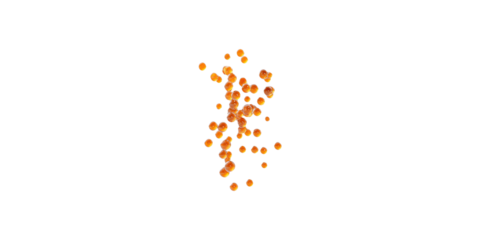 Orange fish roe scattered isolated on transparent background