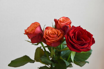 赤い薔薇
