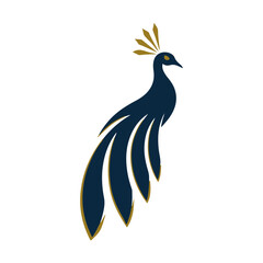 Elegant Peacock 