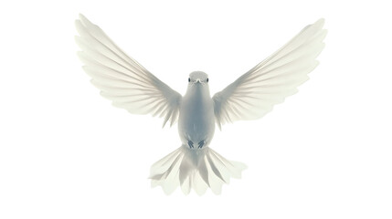 Fototapeta premium Majestic Dove in Flight Symbol of Peace Hope and Spiritual Transcendence