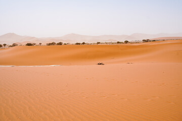 sussisvlei21