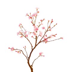 Fototapeta premium March