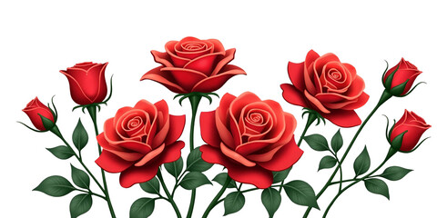 Valentine's Day theme red roses botanical illustration flower arrangement