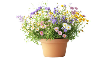 Vase with flowers transparent background