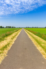 Straight road going through the flat landscape of Drenthe, Netherlands