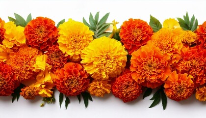 Marigold flower isolated on a white background. Decorative element for design Day of the Dead and Indian holidays. Flat lay