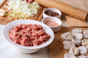 Fresh ground pork in a white porcelain bowl. Making hand-made dumplings
