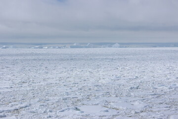 Sea Ice