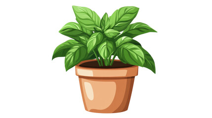 Green potted plant transparent background