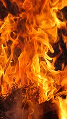 Fototapeta premium closeup photo of burning fire flame