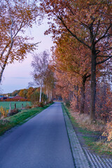 Tranquil autumn evening along a serene tree-lined road in a rural landscape
